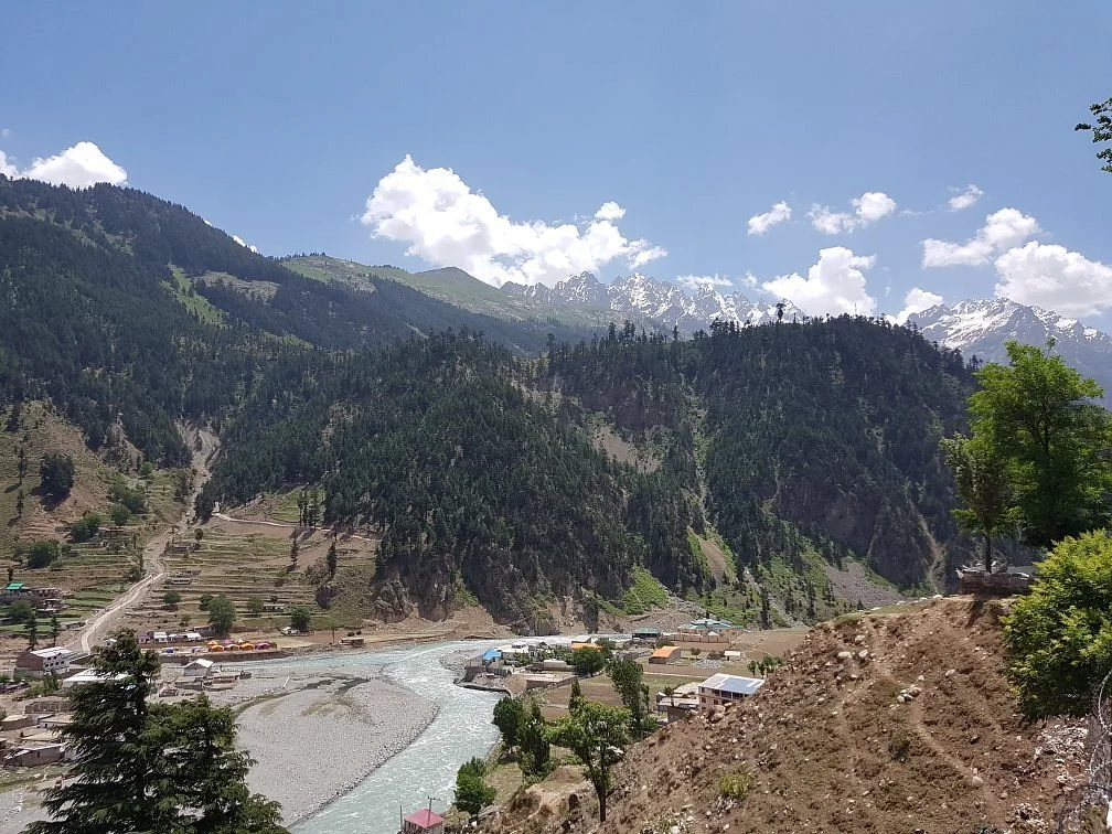 Kalam Forest