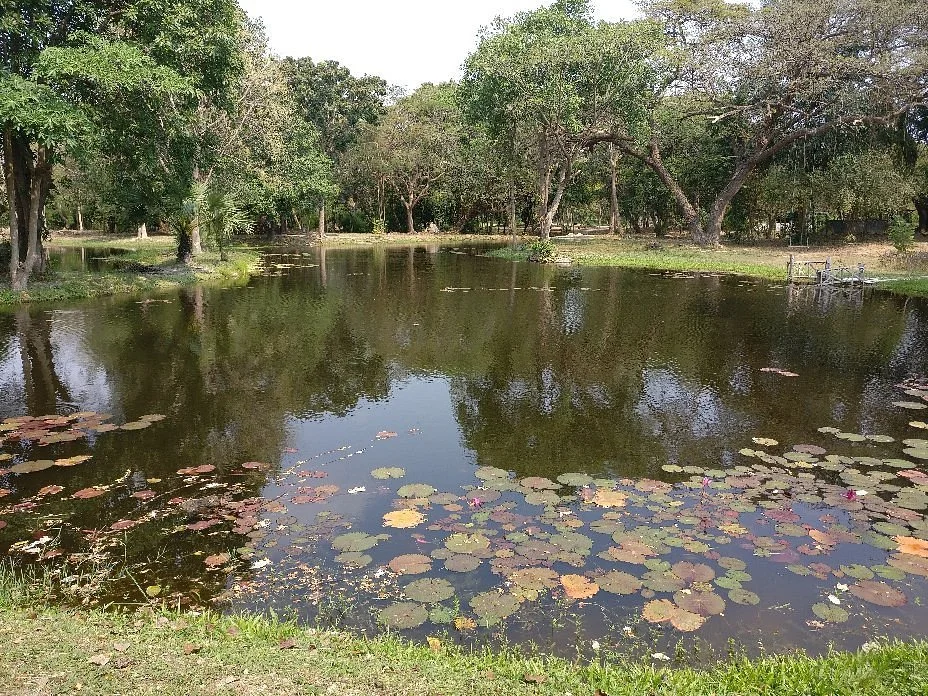 Cha-am Forest Park