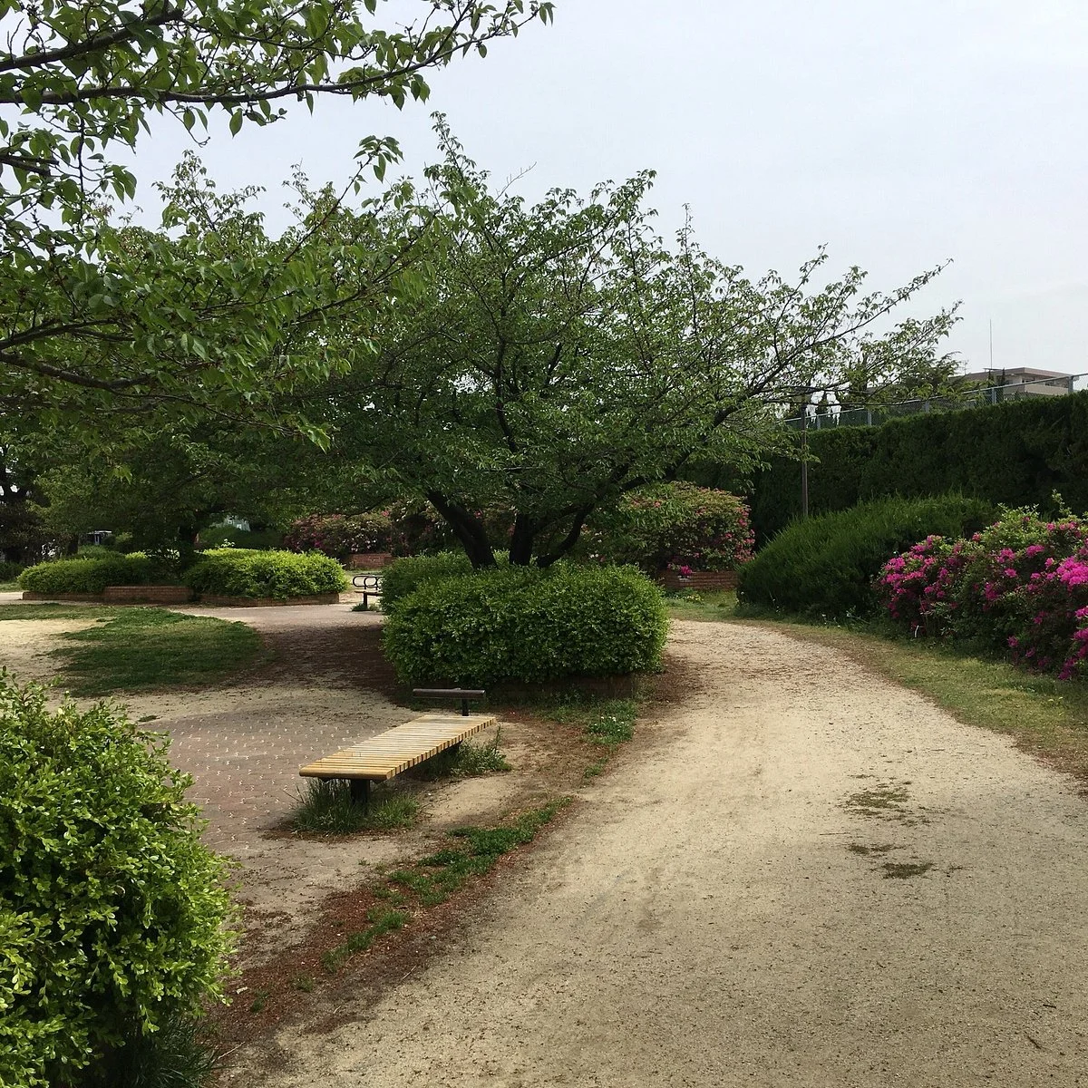 Nii Park