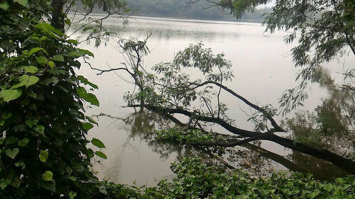 Katraj Lake
