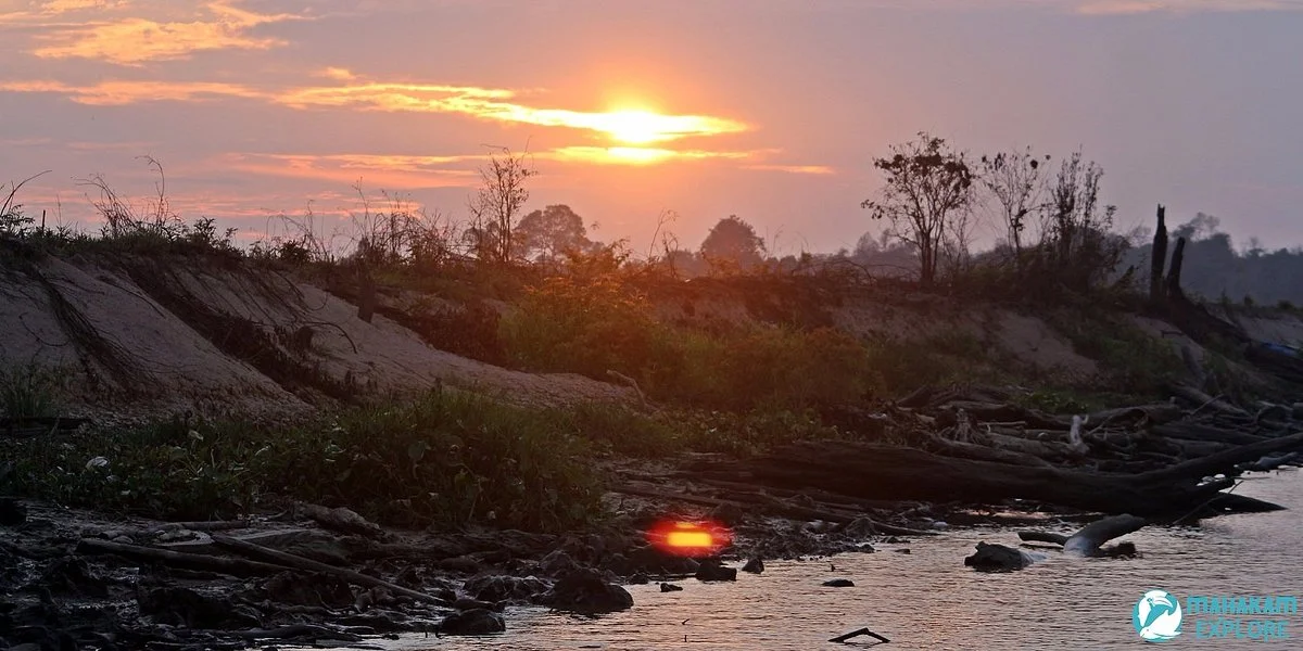 Muara Kaman - Sedulang Natural Preserve