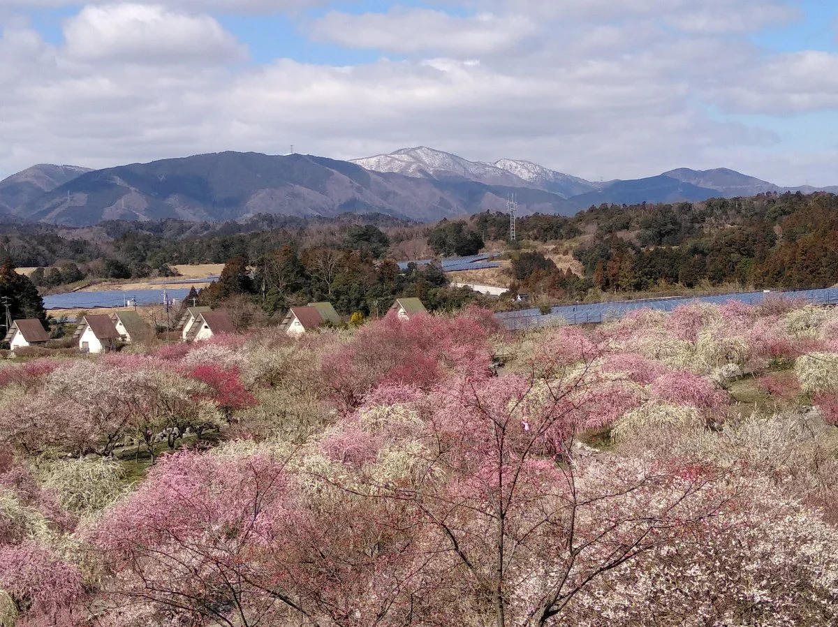 Inabe Nogyokoen