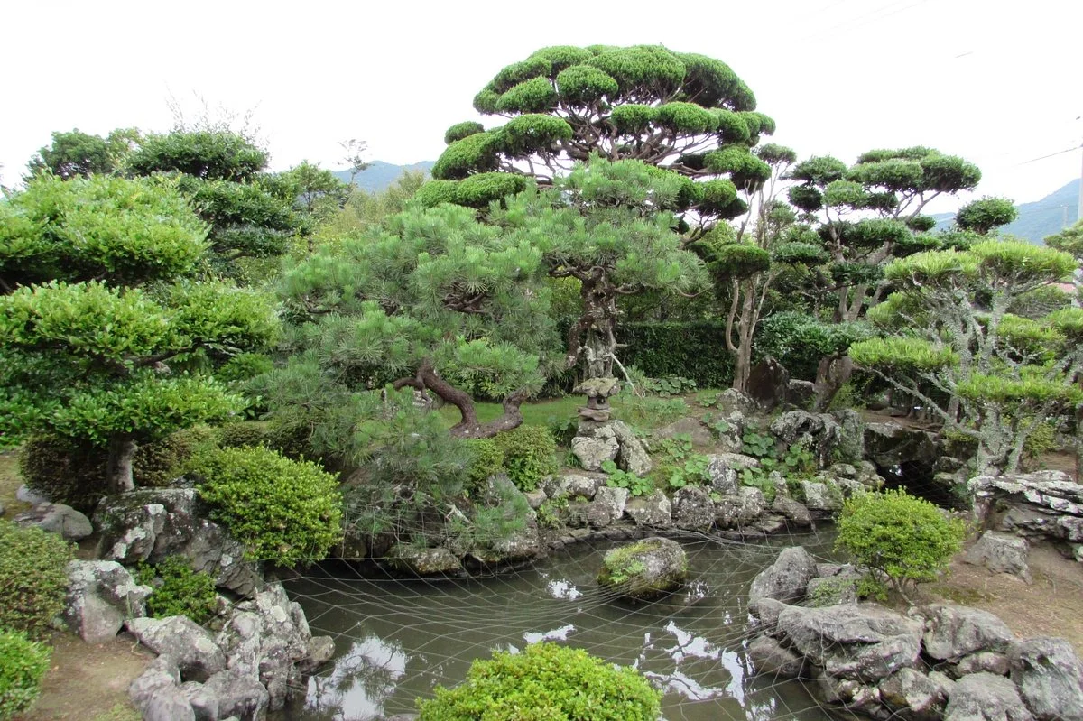 Katsutaro House