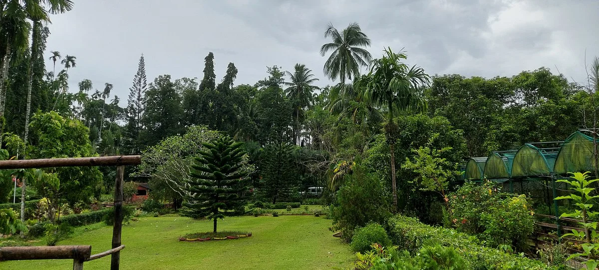 Sippighat Farm