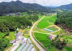 Tanabe Farm