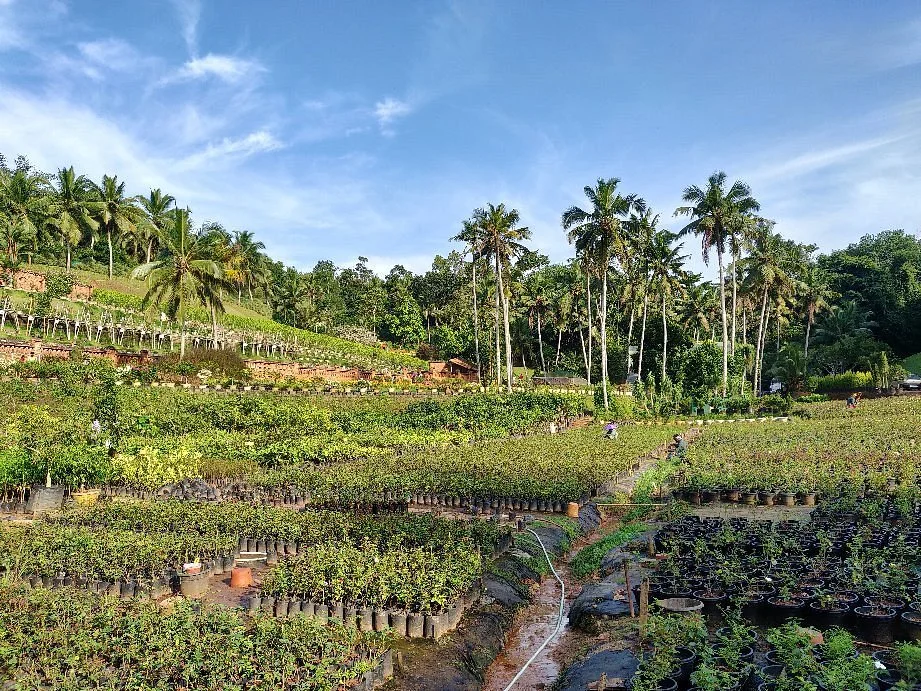 Kuzhipallam Botanical Garden and Research Centre