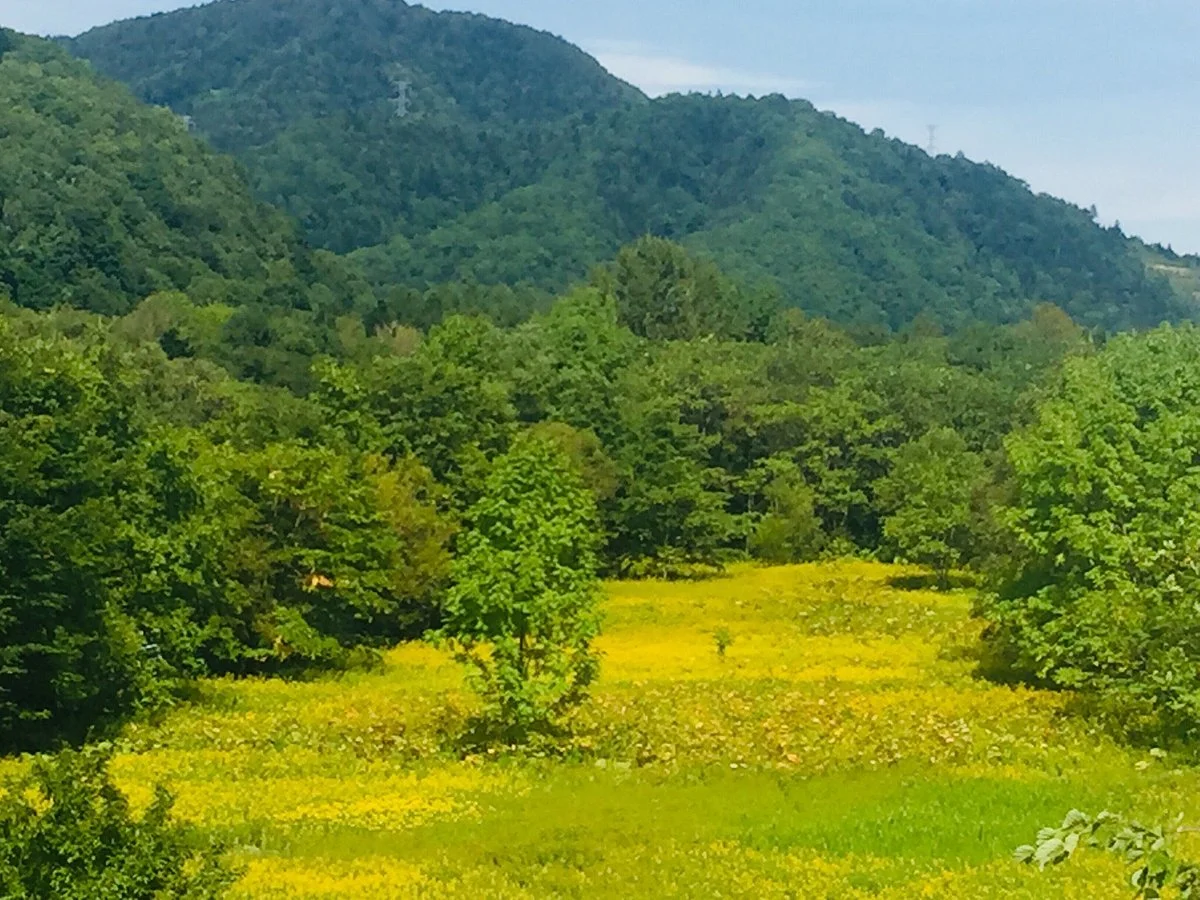 Tokachi Ranch