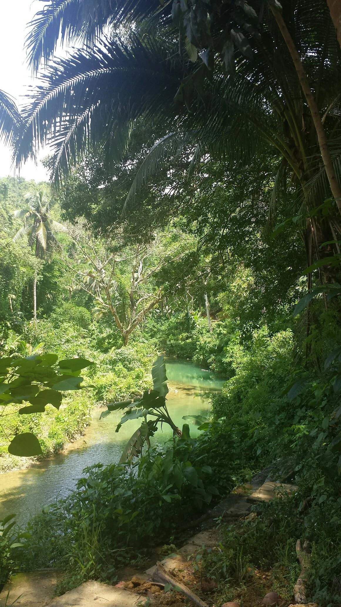 Inambacan Falls