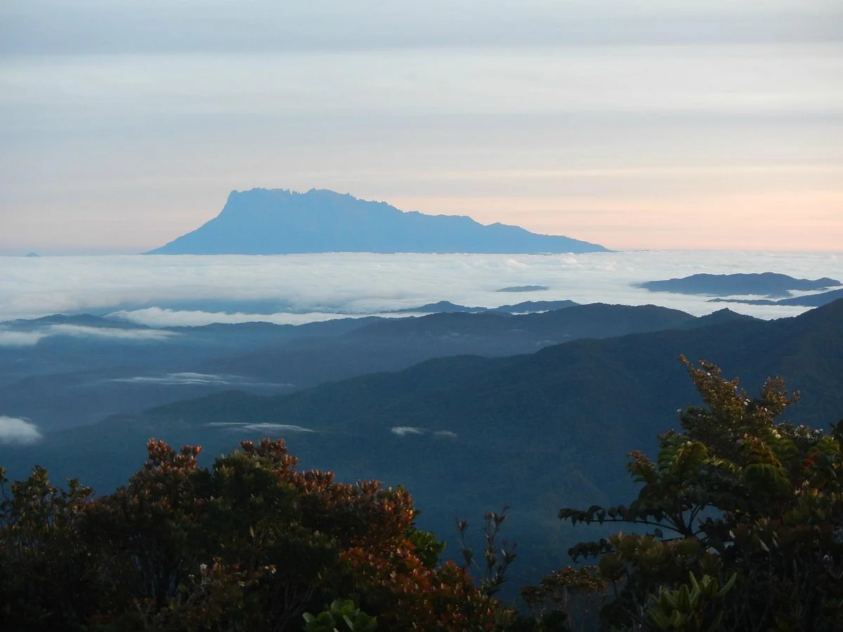 Mt. Trusmadi Apin-apin