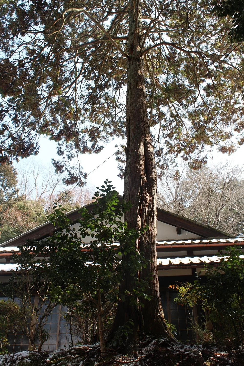 Senhoji Temple
