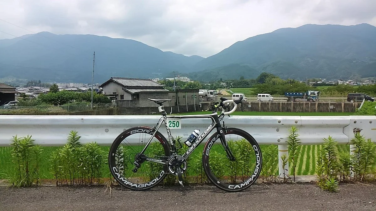 Mizukoshitoge