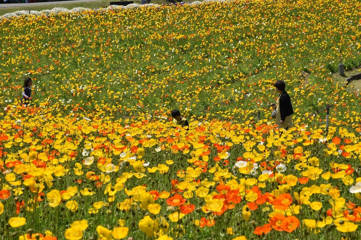 Tondabayashi Savor Farm
