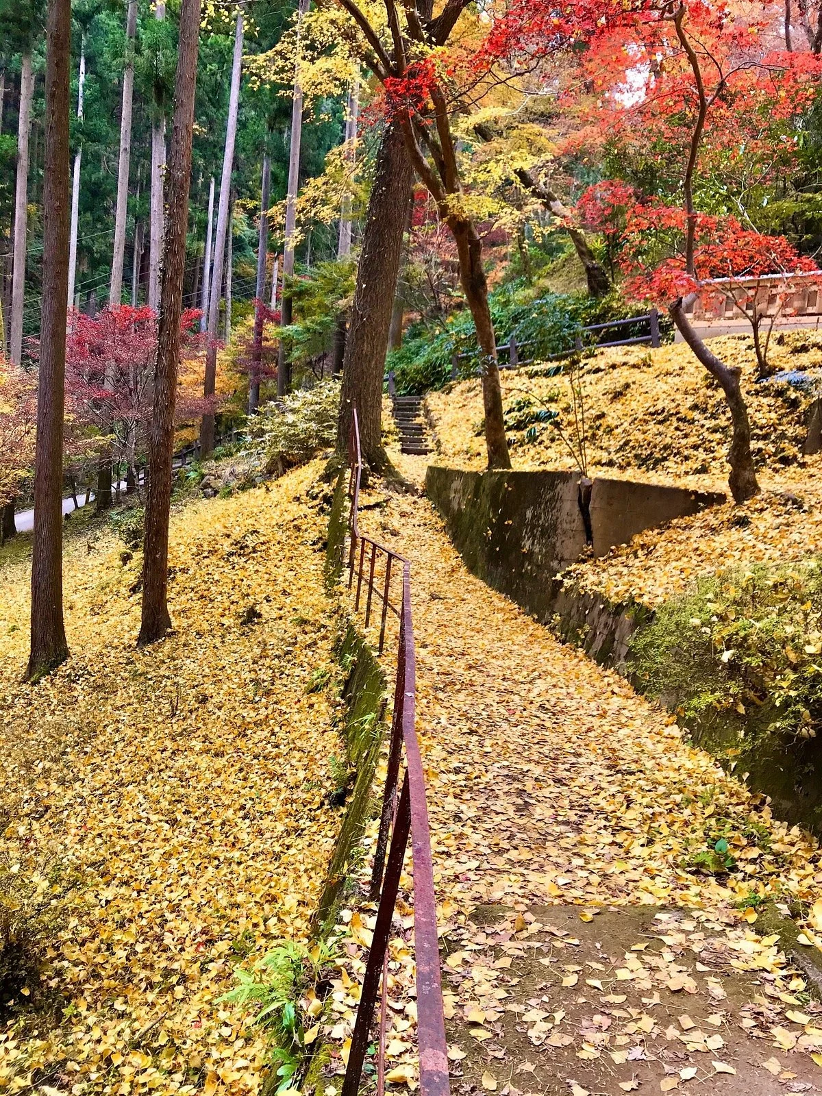 Chichibu Mitake Shrine