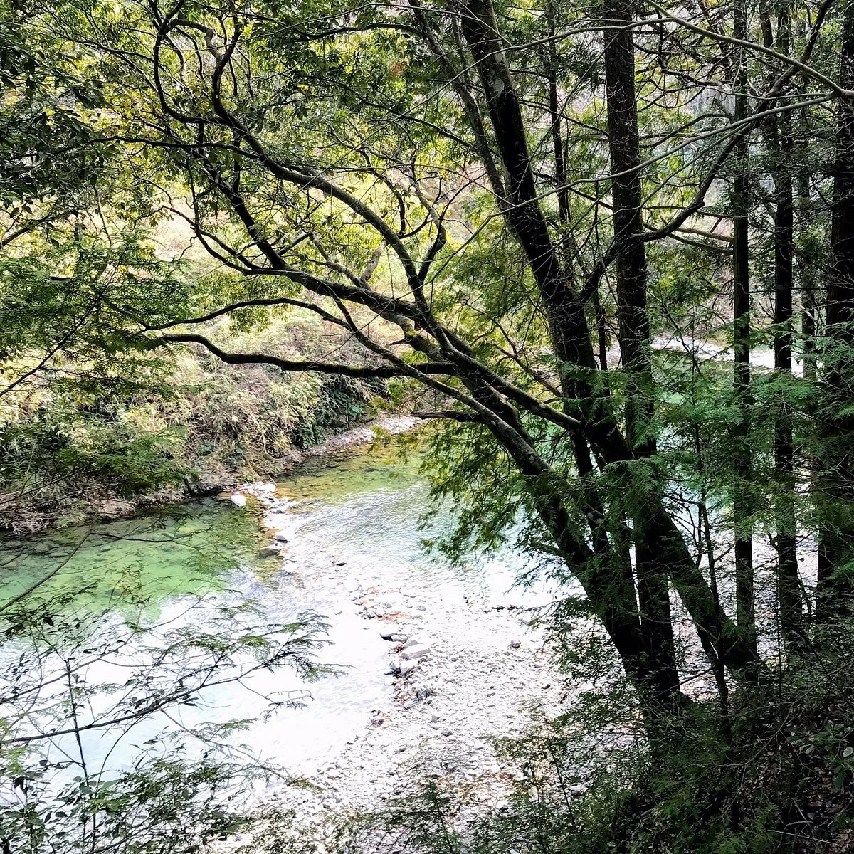Akutagawa Trout Fishing Field