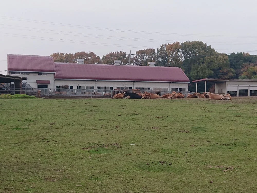 Kyoshin Farm