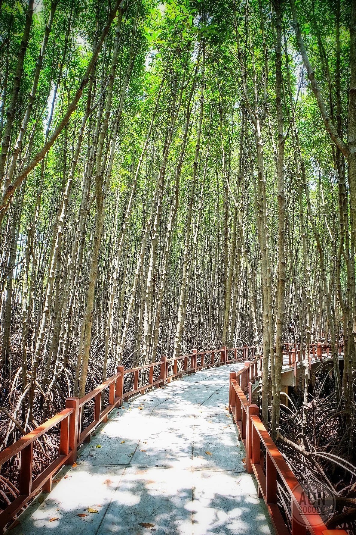 Pranburi Forest Park