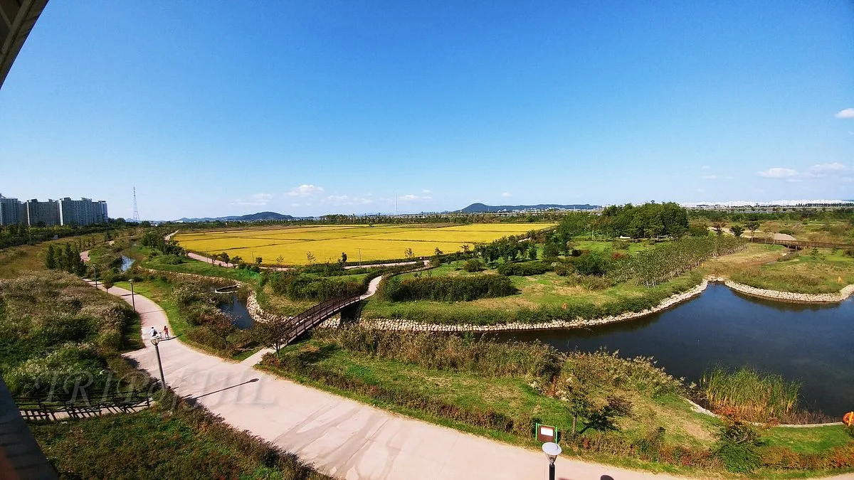 Gimpo Han River Wild Bird Ecology Park