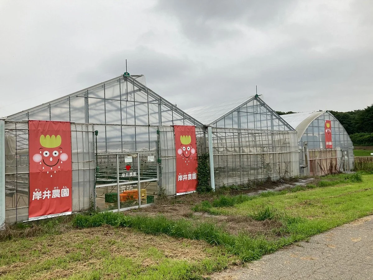 Kishii Farm