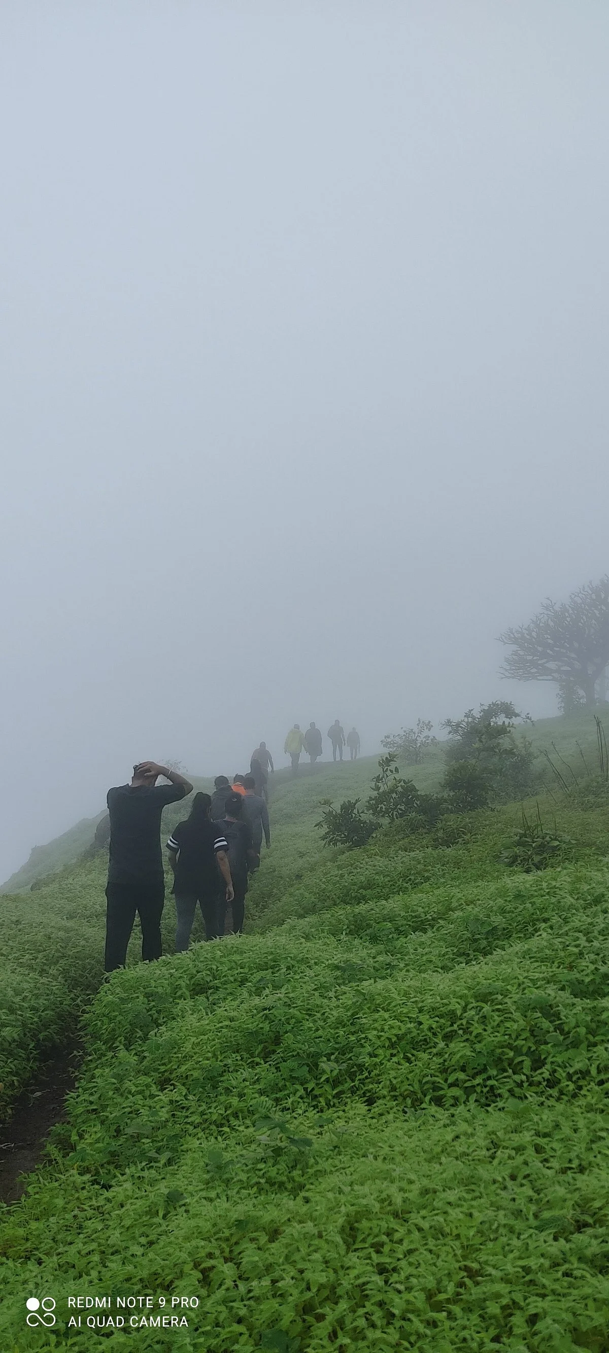Bhaskargad