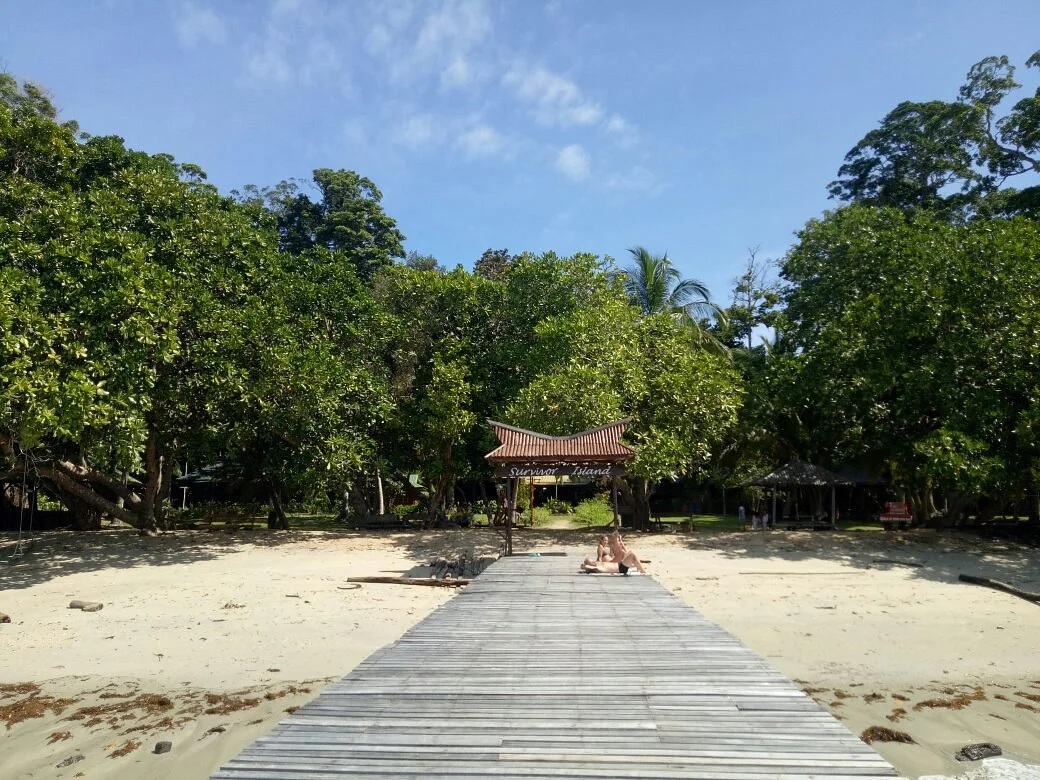 Survivor Island