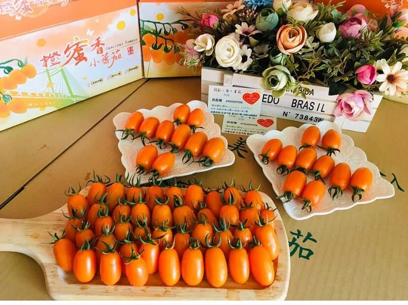 Orange Honey Tomato