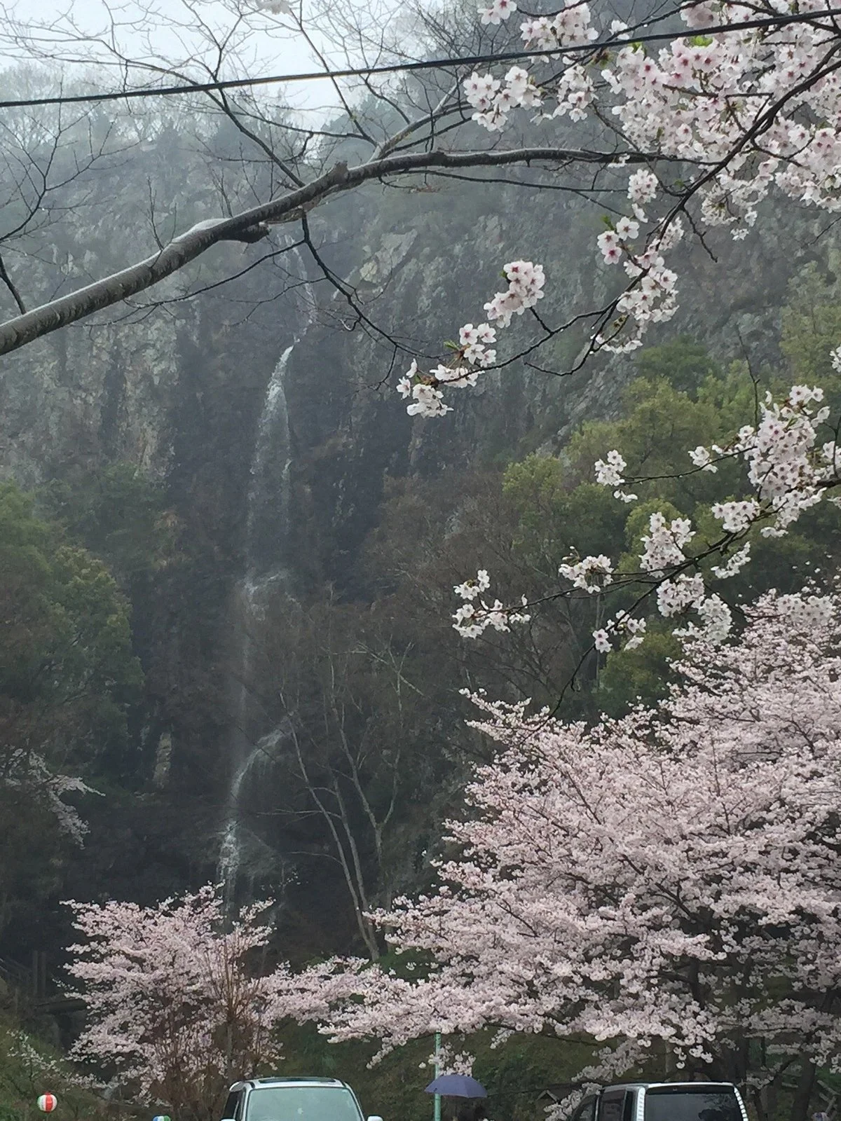 Fudo Fall