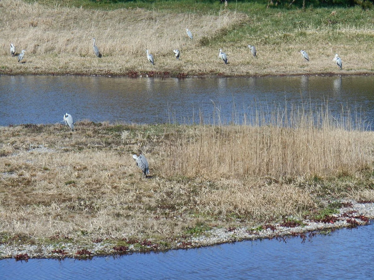 Kaio Bird Park