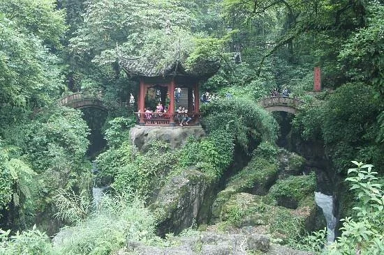Mt. Emei Natural Ecology Monkey Reserve