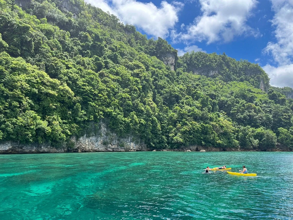 Campomanes Bay