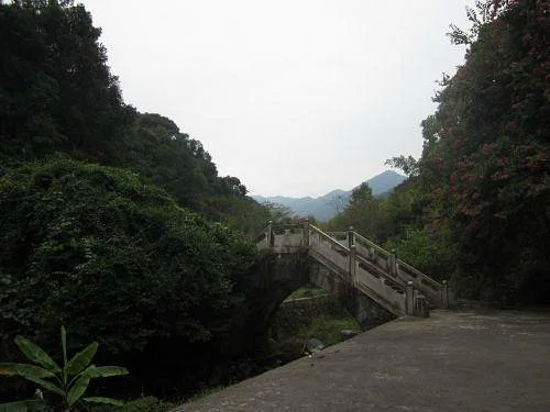 Mt. Guishan Wildwoods