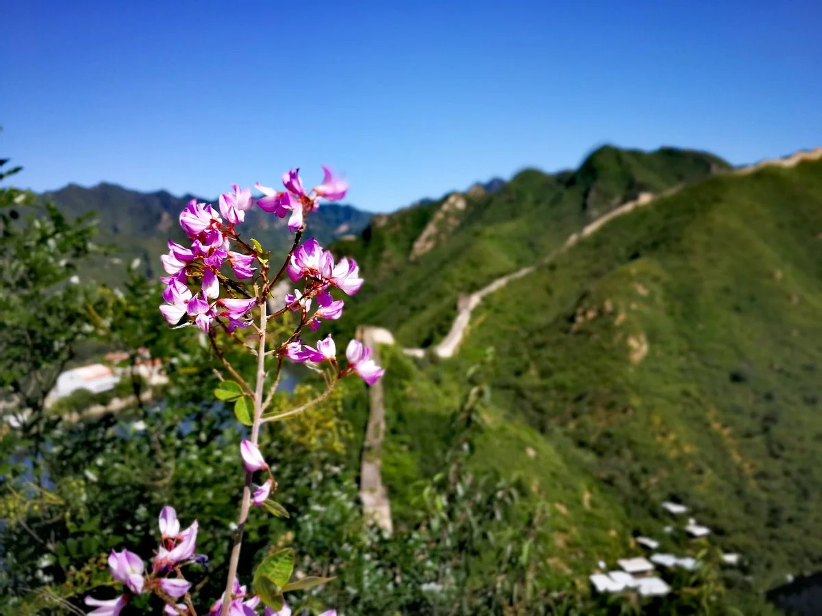 Great Wall at Huanghuacheng