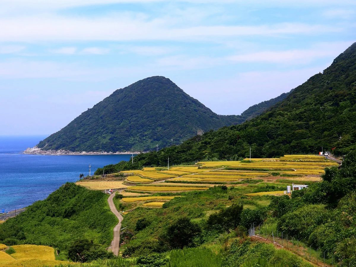 Sodeshi Terraces