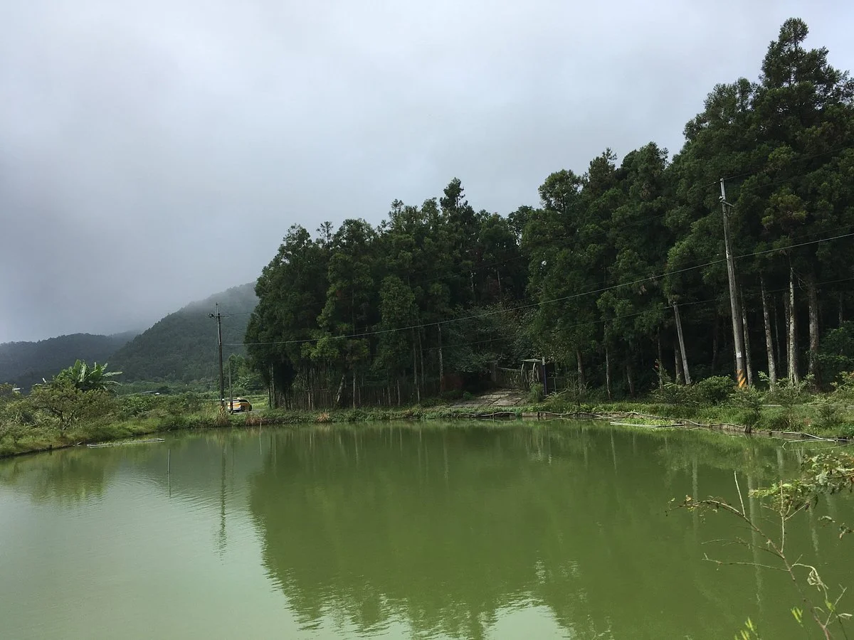 Shuanglianpi