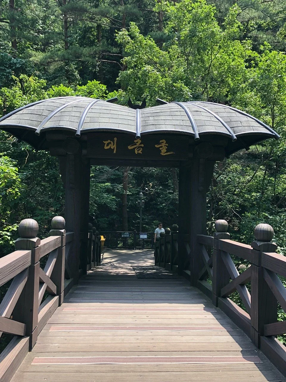Daegeumgul