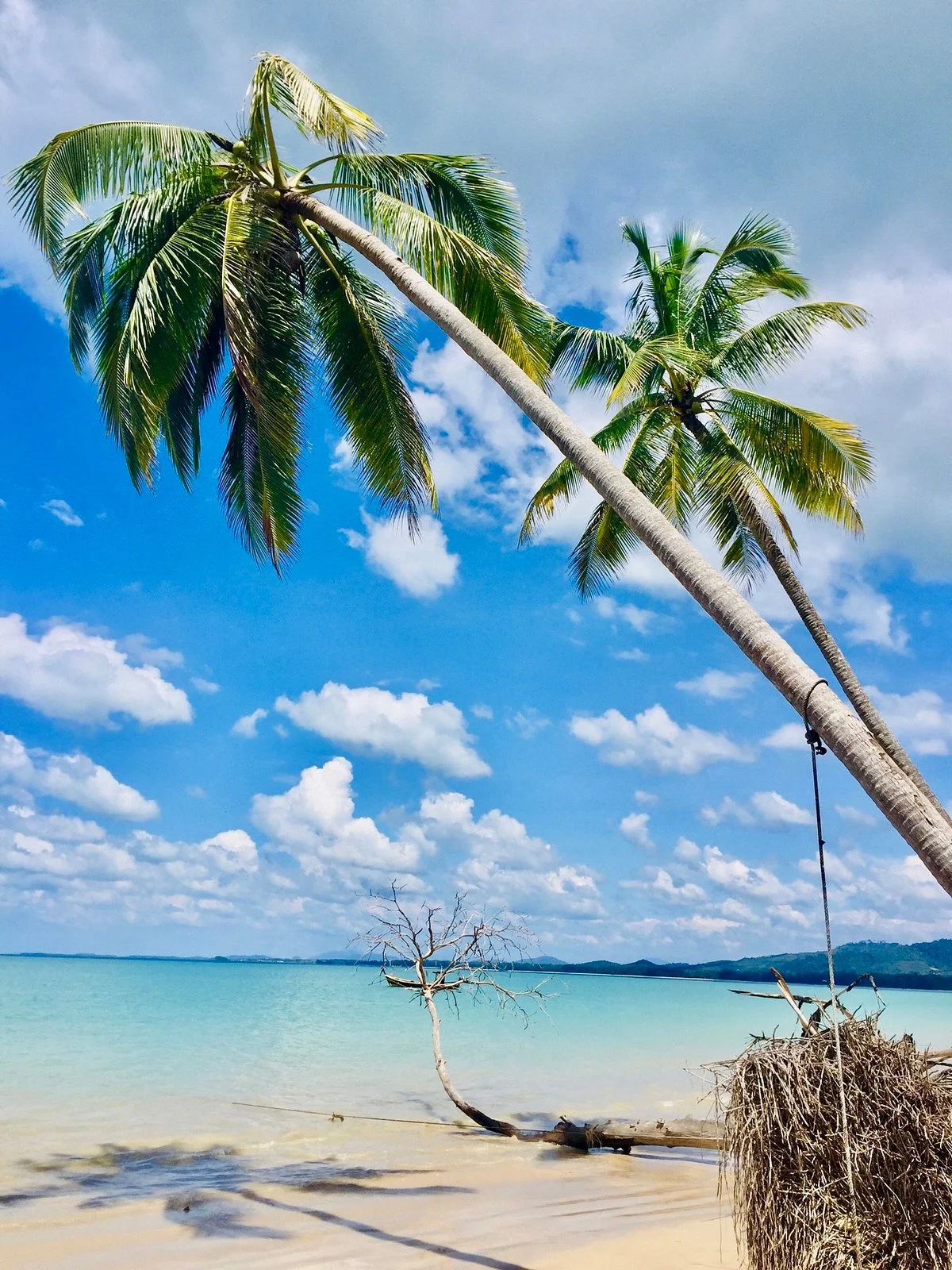 Coconut Beach