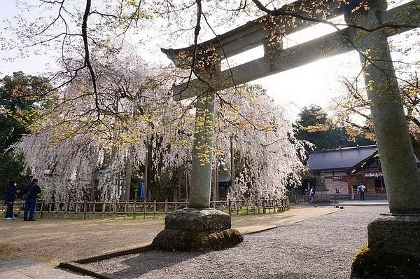 Asuwa Shrine