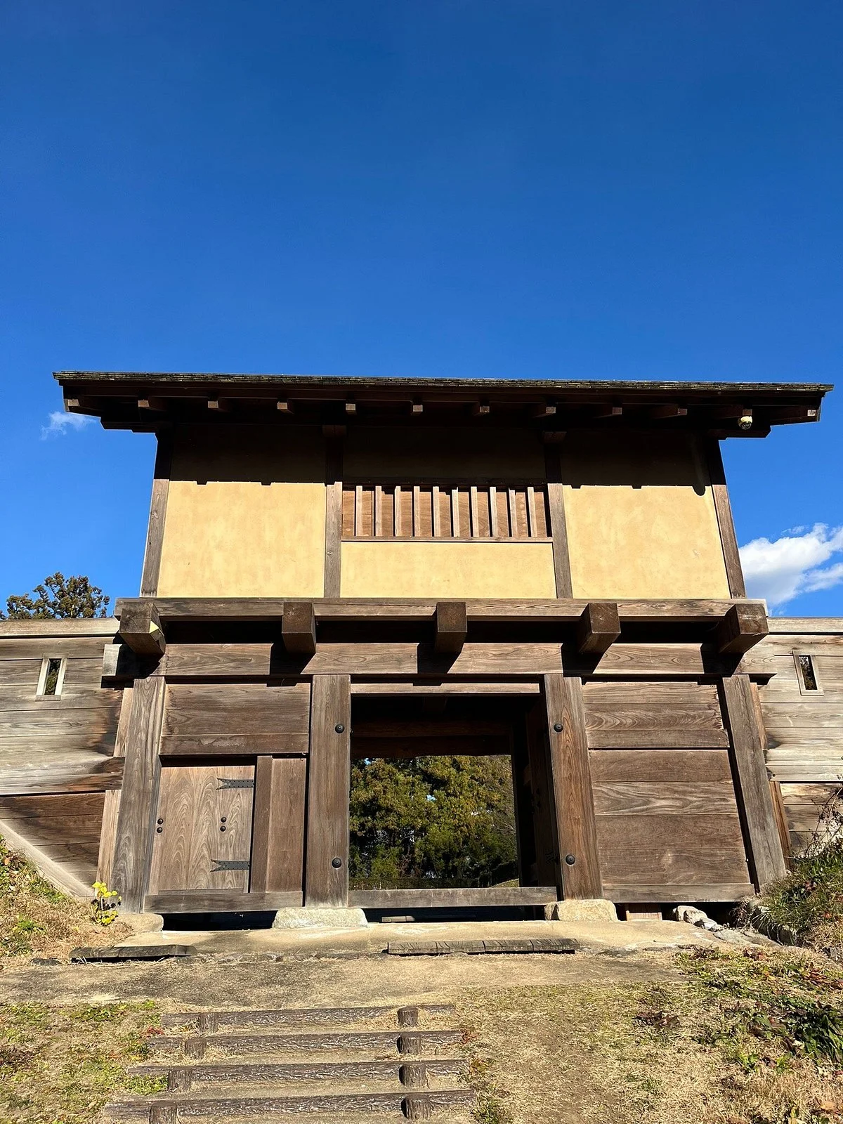 Minowa Castle Ruins