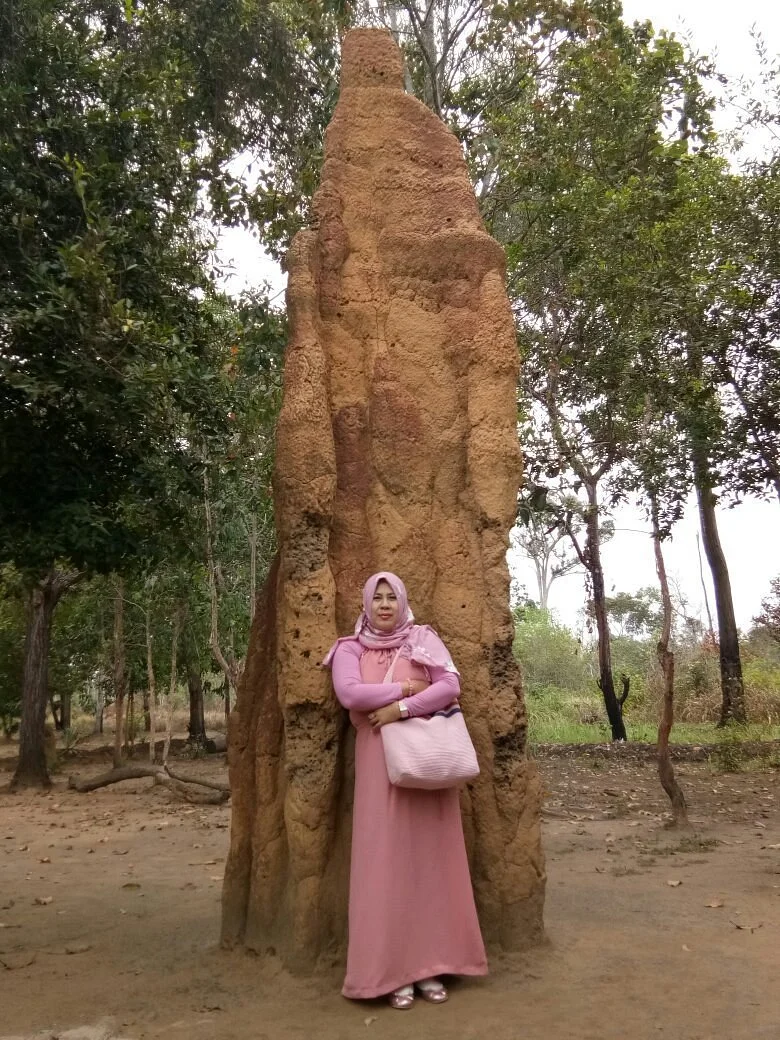 Giant Ant Nest