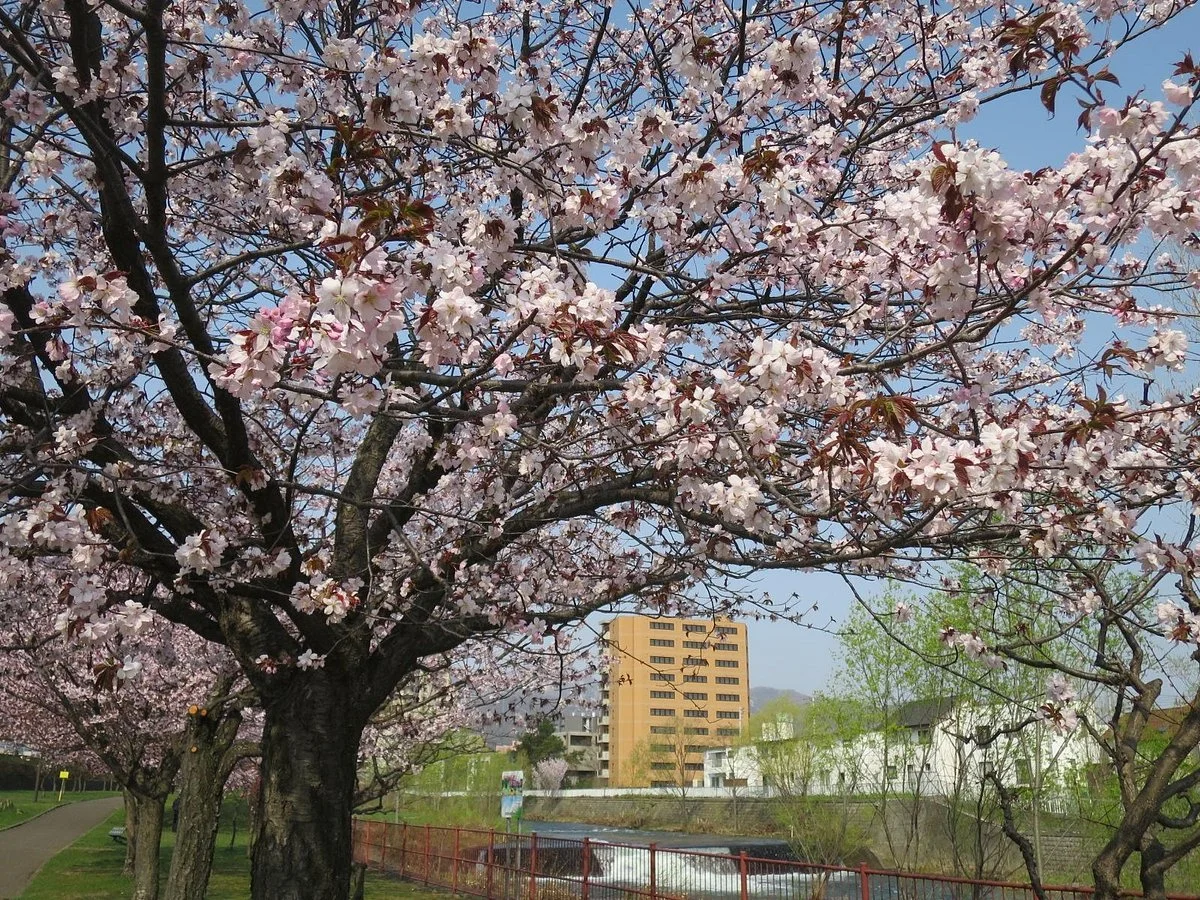 Hassamukahan Park