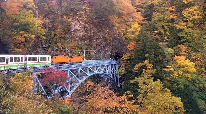 Fukui Botanical Garden