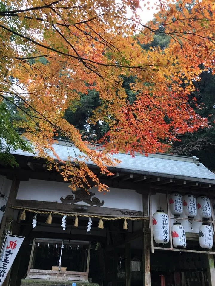Ogura Shrine