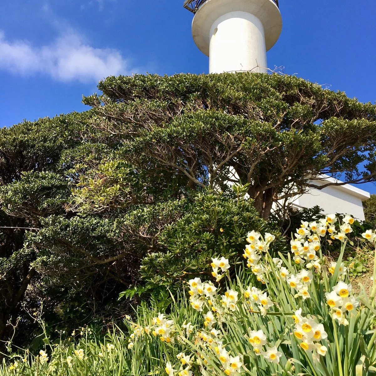 Mugisaki Lighthouse