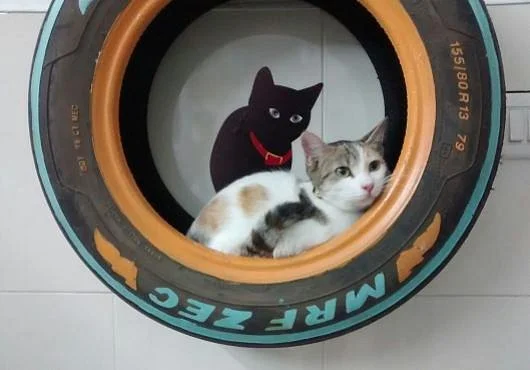 The Cat Studio by Furpurr