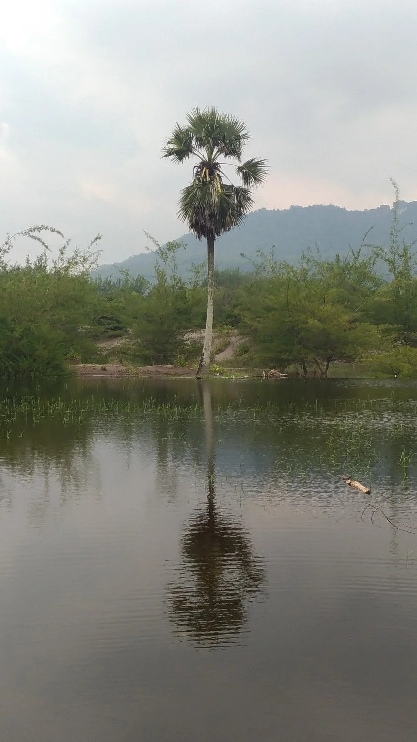 Gumuk Pasir Barchan