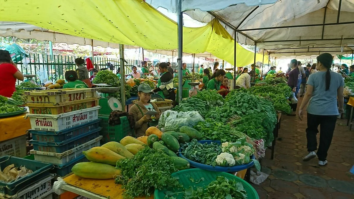 Vientiane Organic Market