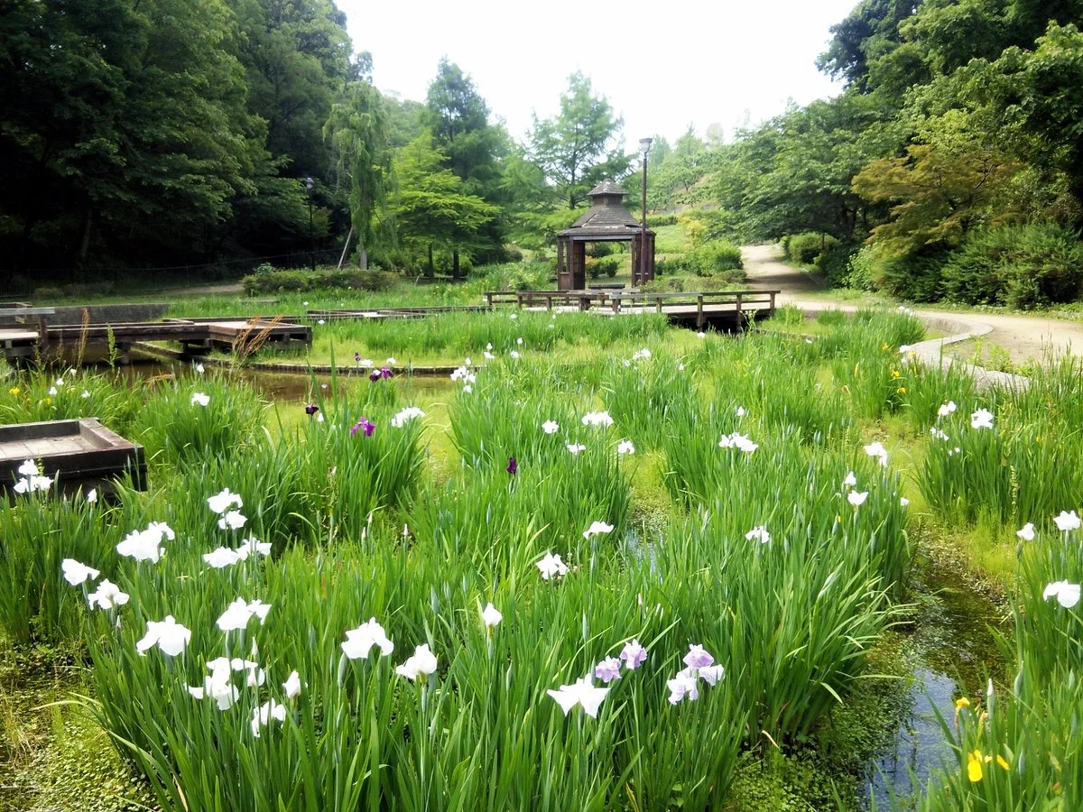Teragaike Park
