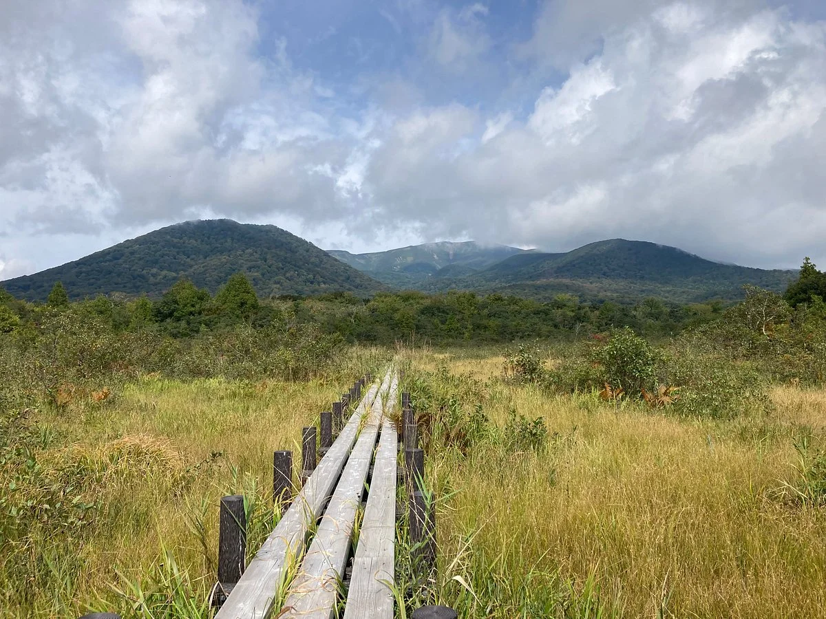 Sekaiyachi Native Flower Trail
