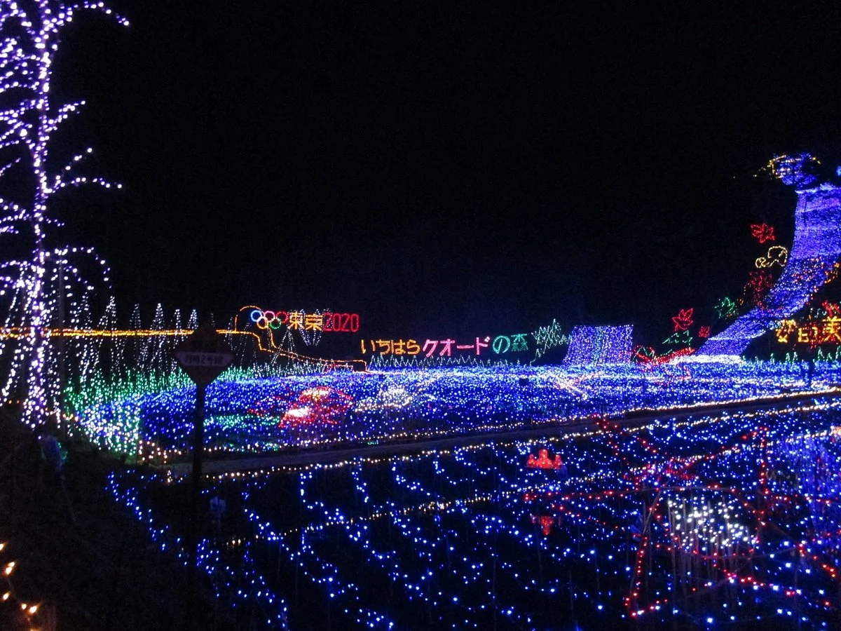 Ichihara Quard's Forest