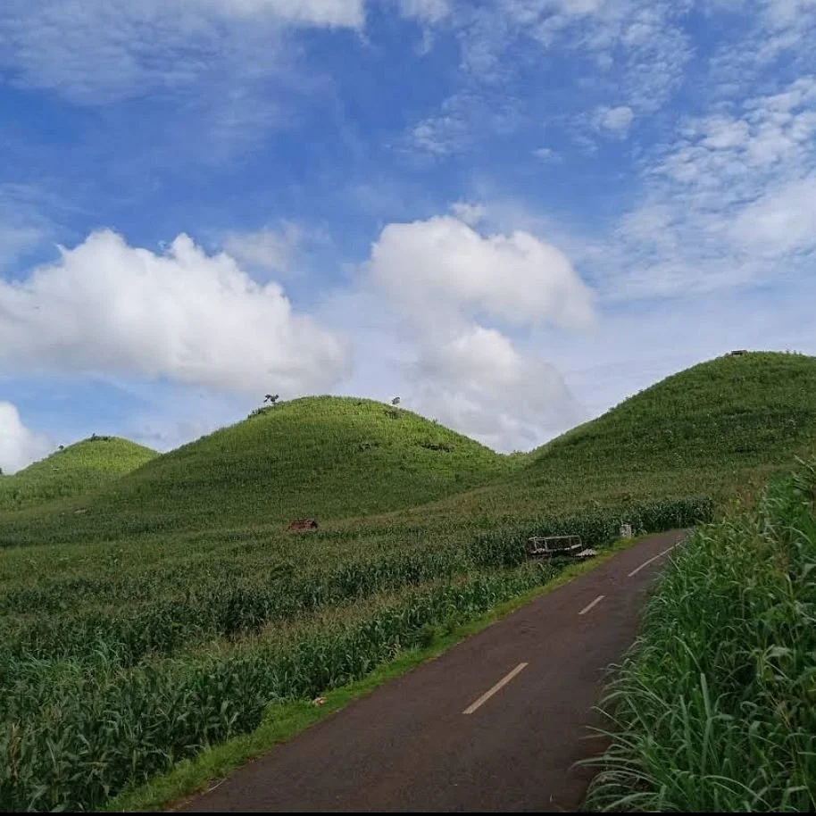 Ki Ageng Giring III Tomb