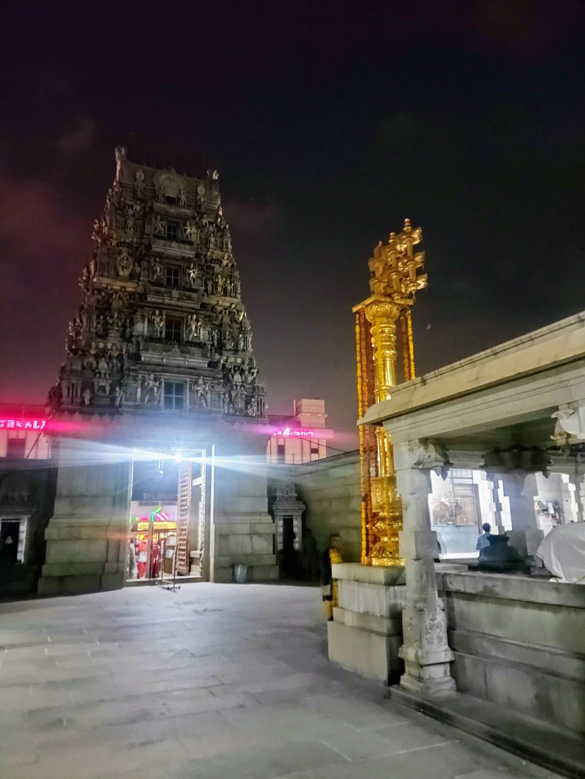 Shree Meenakshi Sundareshwara Temple